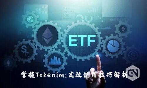掌握Tokenim：高效使用技巧解析