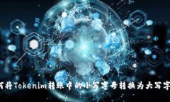 如何将Tokenim转账中的小写