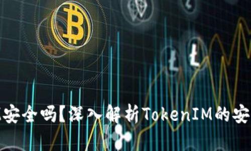 区块链TokenIM安全吗？深入解析TokenIM的安全性与风险评估