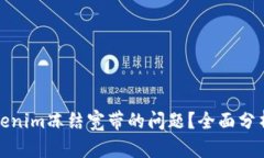 如何解决Tokenim冻结宽带的