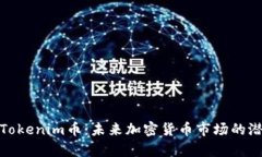 全面解析Tokenim币：未来加