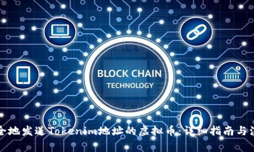 如何安全地发送Tokenim地址的虚拟币：详细指南与注意事项