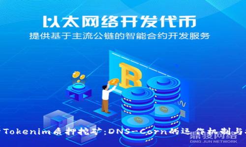 深入解析Tokenim质押挖矿：DNS-Corn的运作机制与投资机会