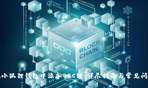 如何在小狐狸钱包中添加BSC链：详尽指南与常见问题解答