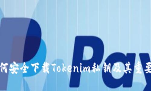 如何安全下载Tokenim私钥及其重要性