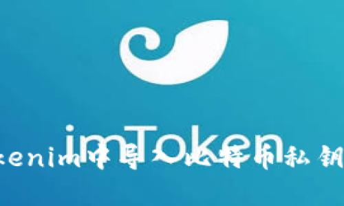 如何在Tokenim中导入比特币私钥：完整指南