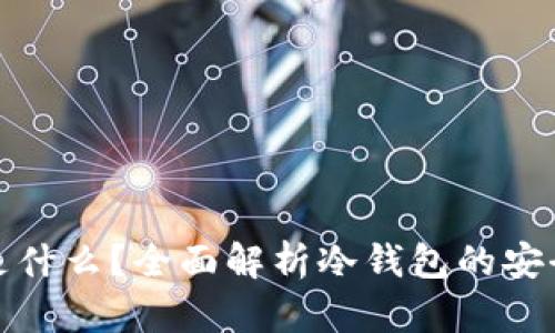 冷钱包存储的是什么？全面解析冷钱包的安全性与使用价值