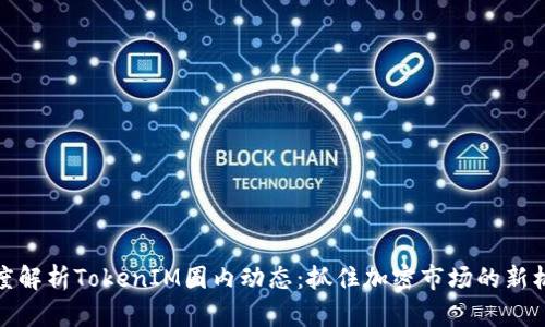 深度解析TokenIM圈内动态：抓住加密市场的新机遇