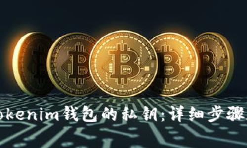 如何找回Tokenim钱包的私钥：详细步骤和注意事项