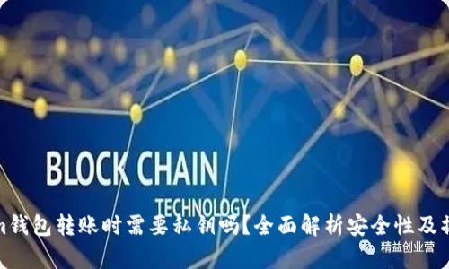 Tokenim钱包转账时需要私钥吗？全面解析安全性及操作流程