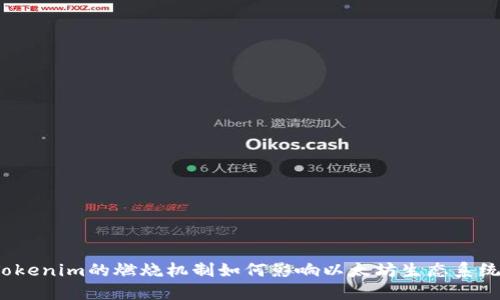 Tokenim的燃烧机制如何影响以太坊生态系统？
