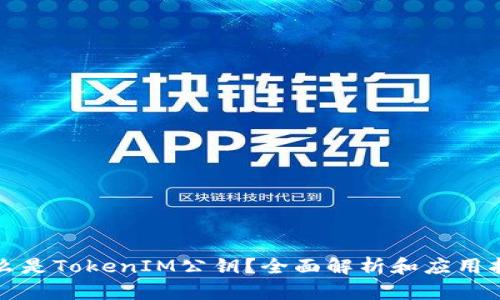 什么是TokenIM公钥？全面解析和应用指南