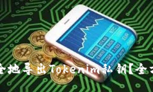 如何安全地导出Tokenim私钥？全方位指南