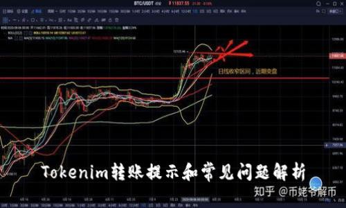 Tokenim转账提示和常见问题解析