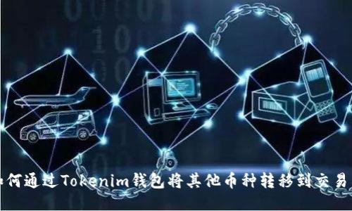 如何通过Tokenim钱包将其他币种转移到交易所