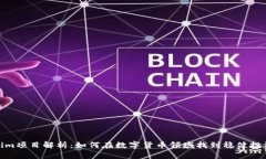 Tokenim项目解析：如何在数字货币领域找到稳健投