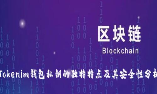 Tokenim钱包私钥的独特特点及其安全性分析