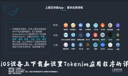 如何在iOS设备上下载和设置Tokenim应用程序的详尽指南