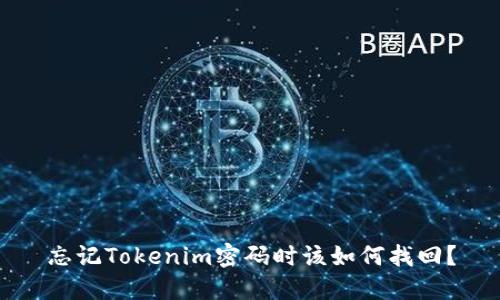 忘记Tokenim密码时该如何找回？