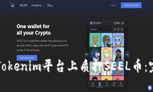 如何在Tokenim平台上质押SEEL币：完整指南
