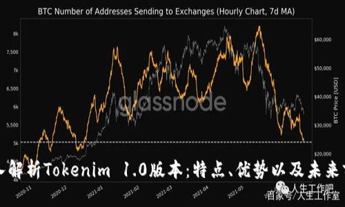 深入解析Tokenim 1.0版本：特点、优势以及未来前景
